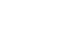 Al Sraiya Security Services